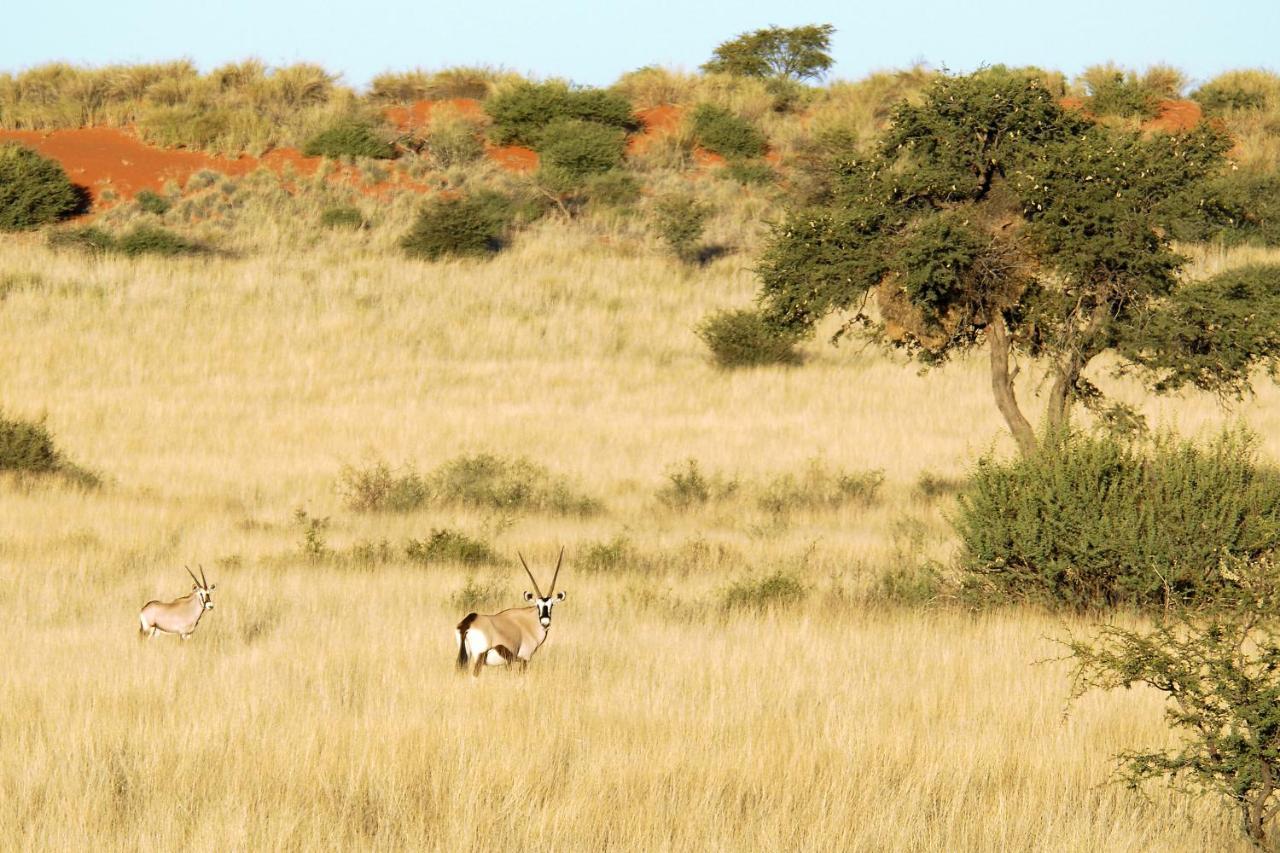 Gondwana Kalahari Anib Lodge Hardap Exterior photo